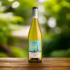 Goulart Paris Chardonnay reserva 2023 750ml - comprar online