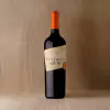 Bonfanti Malbec JOVEN 2023 750ml - comprar online
