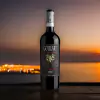 Goulart Winemaker's Selection Bonarda 2019 750ml - comprar online