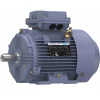 Marathon Cast Iron Motor, 3 & 2 HP, 3 Ph, 60 & 50 Hz, 230/460 & 200/400 V, 1800 & 1500 RPM, 100L Frame, TEFC - R322B Part #:TCA2P22AE211GAA009 Catalog #:R322B
