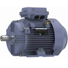 Marathon Cast Iron Motor, 7.50 & 5.50 HP, 3 Ph, 60 & 50 Hz, 230/460 & 200/400 V, 1200 & 1000 RPM, 132M Frame, TEFC - R329B Part #:TCA5P53AE211GAA009 Catalog #:R329B