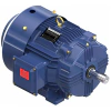 Marathon Globetrotter® General Purpose Motor, 20 & 15 HP, 3 Ph, 60 & 50 Hz, 230/460 & 190/380 V, 3600 & 3000 RPM, 256T Frame, TEFC - GT1024A Part #:256TTFCD6001 Catalog #:GT1024A