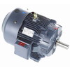 Marathon Globetrotter® General Purpose Motor, 25 & 20 HP, 3 Ph, 60 & 50 Hz, 230/460 & 190/380 V, 1800 & 1500 RPM, 284T Frame, TEFC - GT1028A Part #:284TTFCD6026 Catalog #:GT1028A