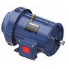 Marathon Globetrotter® General Purpose Motor, 3 & 2 HP, 3 Ph, 60 & 50 Hz, 230/460 & 190/380 V, 1800 & 1500 RPM, 182TC Frame, TEFC - GT1210A Part #:182TTFBD6028 Catalog #:GT1210A