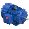 Marathon XRI®-841 Severe Duty Motor, 20 HP, 3 Ph, 60 Hz, 460 V, 3600 RPM, 256T Frame, TEFC - W551A Part #:256THFCD9001 Catalog #:W551A