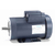 Leeson General Purpose Motor, 3 HP, 1 Ph, 60 Hz, 230 V, 3600 RPM, 145TC Frame, TEFC - 121825.00