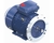 R822, Marathon TerraMAX® Cast Iron Motor, 3 &amp; 2 HP, 3 Ph, 60 &amp; 50 Hz, 230/460 &amp; 200/400 V, 1800 &amp; 1500 RPM, 100L Frame, TEFC - R822 Part #:TCA2P22AE231GAA009 Catalog #:R822