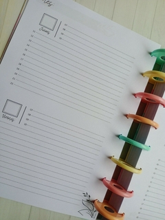 Agenda Perpetua en internet