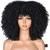 Wig Ceci Curta