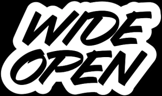 wide open store