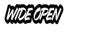 wide open store