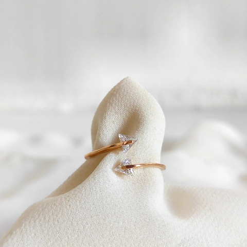Anillo Flechi