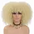 Imagem do Peruca encaracolada Afro do cabelo curto com franjas