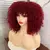 Imagem do Peruca encaracolada Afro do cabelo curto com franjas