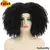 Peruca encaracolada Afro do cabelo curto com franjas na internet