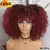 Peruca encaracolada Afro do cabelo curto com franjas - Marlene Moura