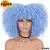Peruca encaracolada Afro do cabelo curto com franjas - loja online
