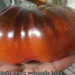 TOMATE TRUFA NEGRO