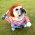Traje Halloween para Pet - loja online