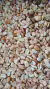 Caixa com 400 Geleinhas de mocoto 4 sabores - comprar online