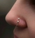 SERVICIO DE PERFORACIÓN DE NOSTRIL