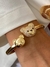 Bracelete