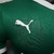 Camisa Palmeiras I 25/26 Jogador Masculina - Verde - loja online