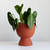 VASO BOCA LARGA TERRACOTA - comprar online