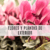 Banner de Tierra Viva