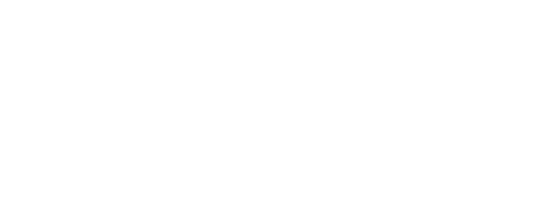 Little Bunny