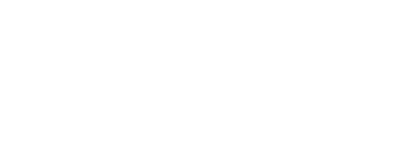 Little Bunny