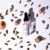 ESSÊNCIA CONCENTRADA | LOFT | 20ML na internet