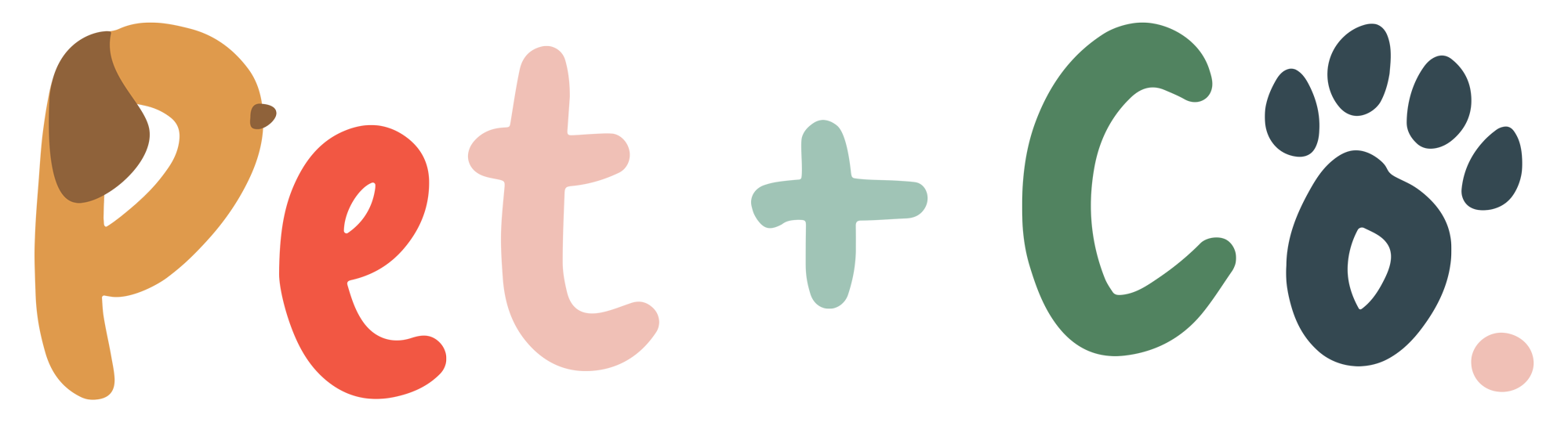 Pet + Co.