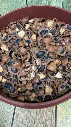 MACADAMIA PURA 1 KG - comprar online