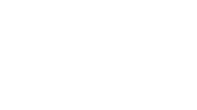 MrStoke