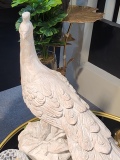 Pavo real - tienda online