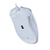 Razer DeathAdder Essential Wired Gaming Mouse Mouse 6400DPI Sensor Óptico 5 Ind - comprar online