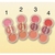 PALETA DE BLUSH MY LIFE BLUSH UP