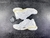Balenciaga Runner White/Sand - comprar online