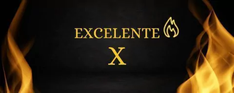 Excelente