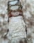 MUSCU ANIMAL PRINT - comprar online