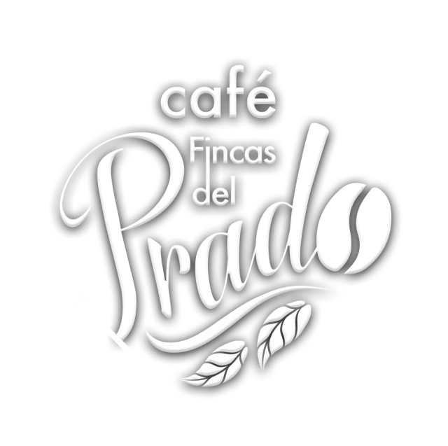 Compra Café Orgánico de Veracruz | Fincas del Prado®