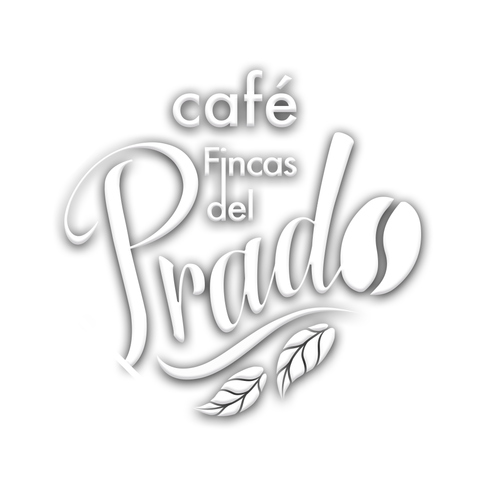 Compra Café Orgánico de Veracruz | Fincas del Prado®
