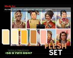 SET Flesh (colores piel)