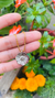 Flor bicolor