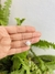 Gargantilla Perla cultivada
