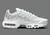NIKE AIR MAX PLUS TN White metalic silver - hpstreetwear