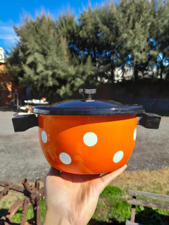 Olla Enlozada 20x10