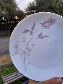 12 Platos Hondos ~ Porcelana Tsuji - tienda online