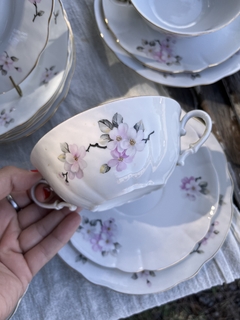6 Dúos Consomé ~ Porcelana Verbano - Antiguedades JOE